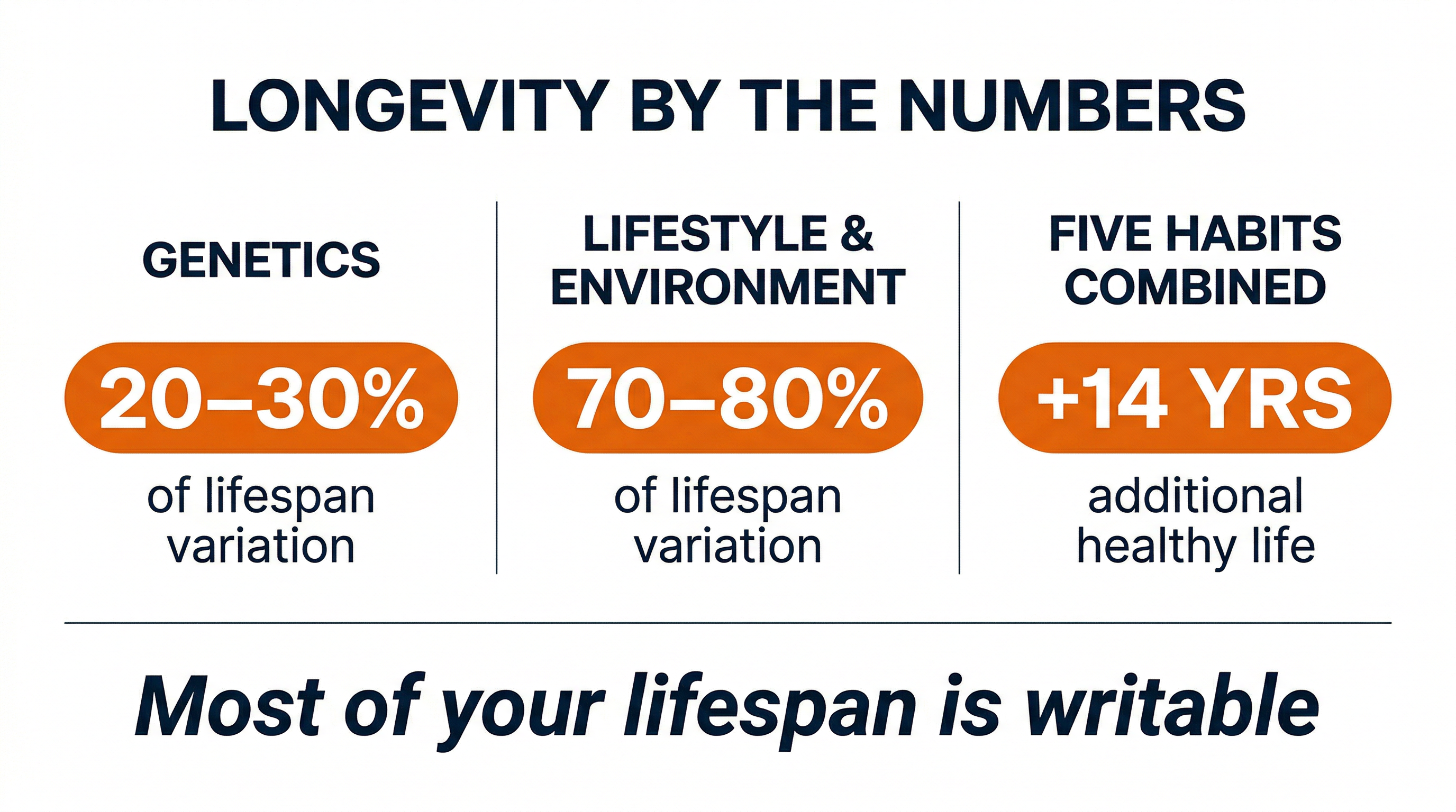 Longevity by the Numbers: What Research Says About Lifespan Control